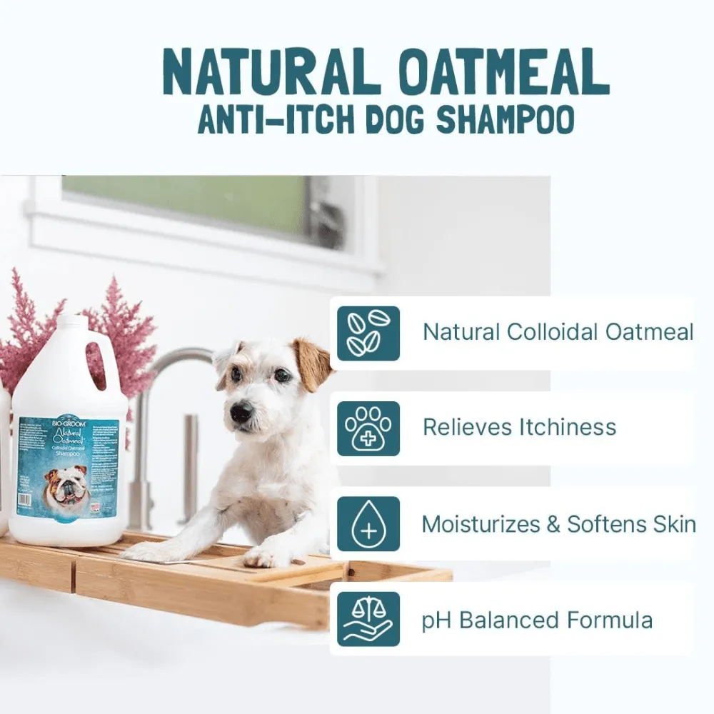 Bio Groom Natural Oatmeal Soothing Shampoo for Dogs and Cats