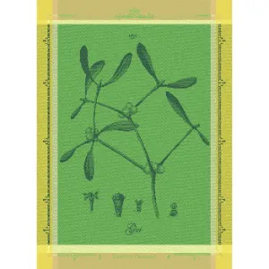 Gui Botanique Vert Kitchen Towel