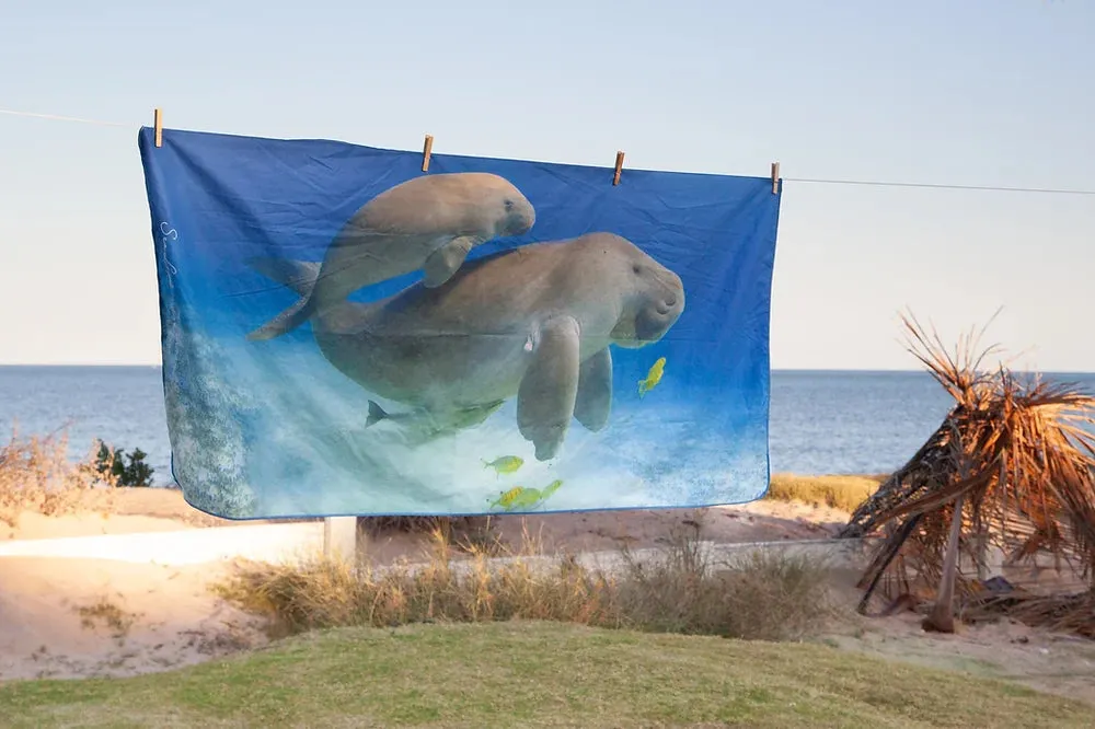 Sand Free Beach Towels